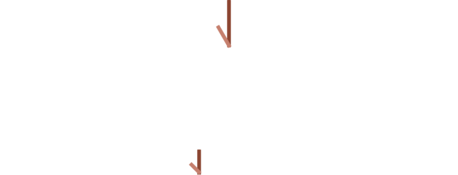 Assistant Media Buyer